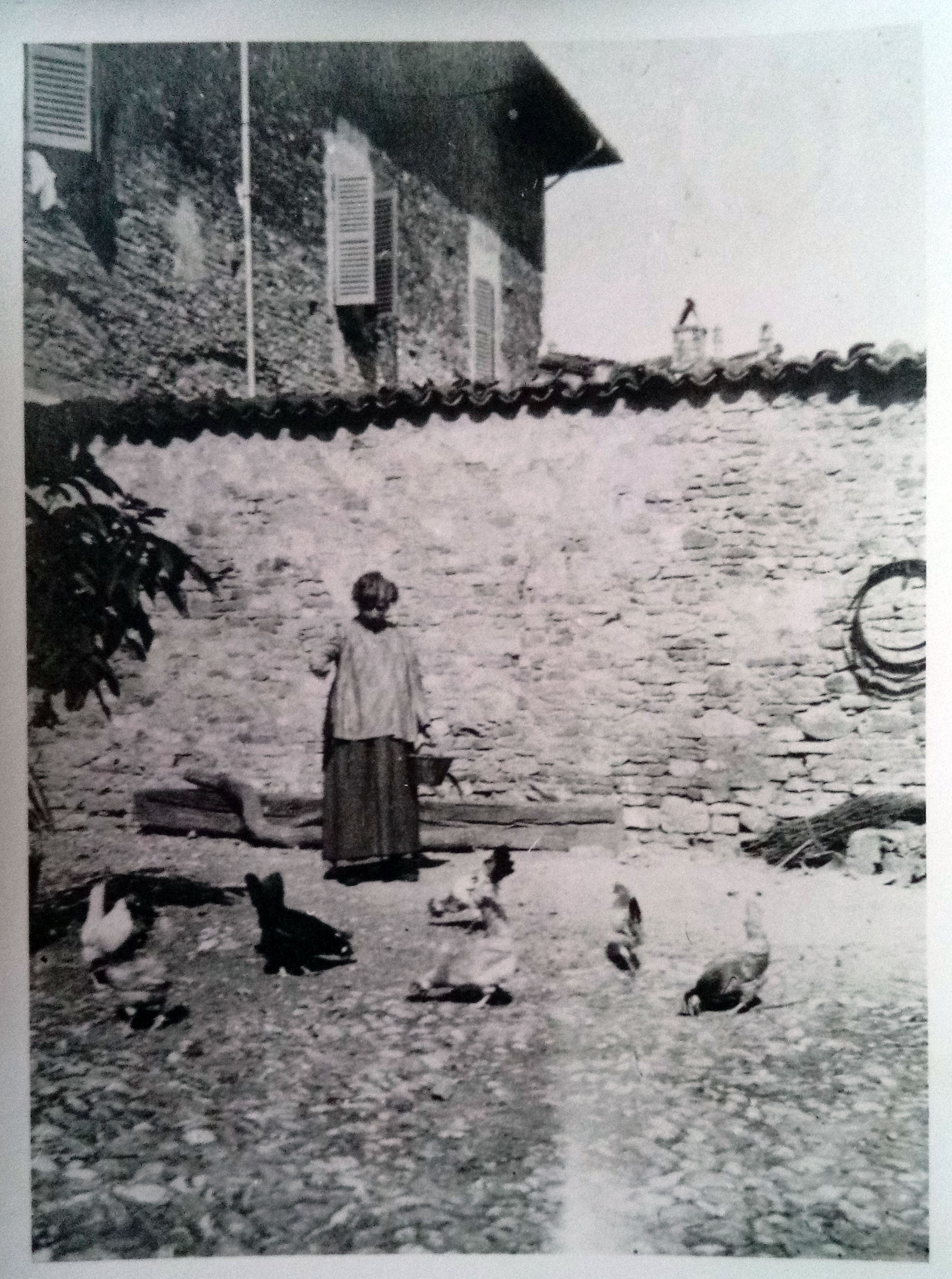 Fotografías familiares Césari